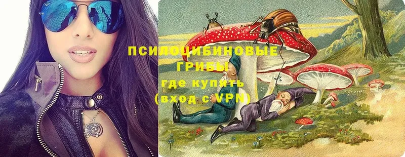 даркнет сайт  Краснослободск  hydra tor  Псилоцибиновые грибы Cubensis 